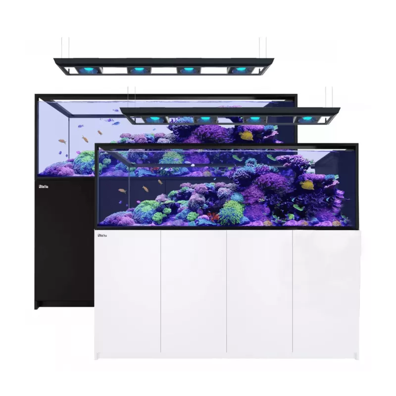 Red sea REEFER Peninsula G2 S-950 ✔ Bestel eenvoudig online! ✔ Laagste prijs