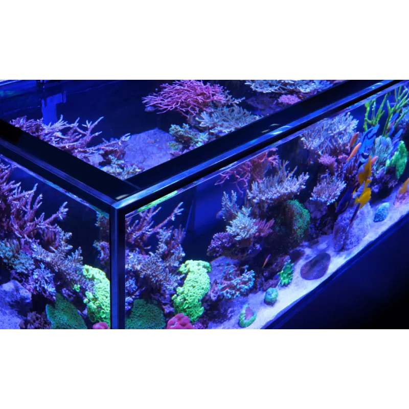 Red Sea Reefer-S 1000 White 210cm Bestellen? l Coralandfishstore.nl