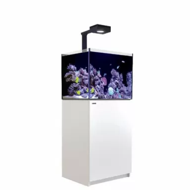 REEFER™ 170 Komplettsystem G2 Deluxe – Weiß (inkl. 1 x RL90 und Montagearm) | Coralandfishstore.nl