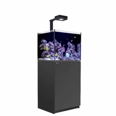 Red Sea Reefer 170 G2+ Deluxe Zwart
