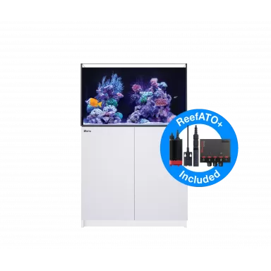 REEFER™ 250 Komplettsystem G2 Deluxe | Coralandfishstore.nl