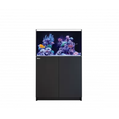 Red Sea Reefer 250 G2+ Schwarz – Komplettes Riff-Aquarium-Set