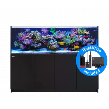 Red Sea REEFER 3XL 900 Schwarz l Coralandfishstore.nl