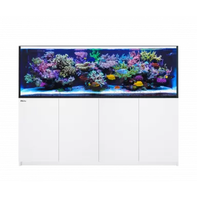 Red Sea REEFER 3XL 900 Weiß Coralandfishstore.nl