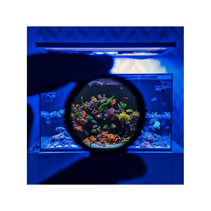 DD Handy-Koralle Fotoobjektiv/Filter | Corallandfishstore