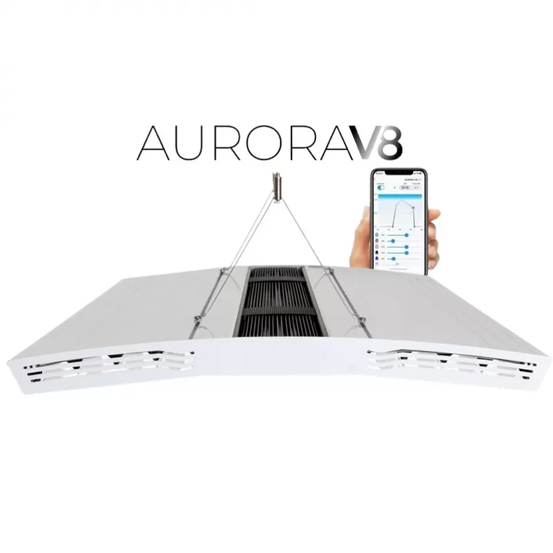 Giesemann Aurora V8 1200mm Irridium bestellen ? l Coralandfishstore.nl