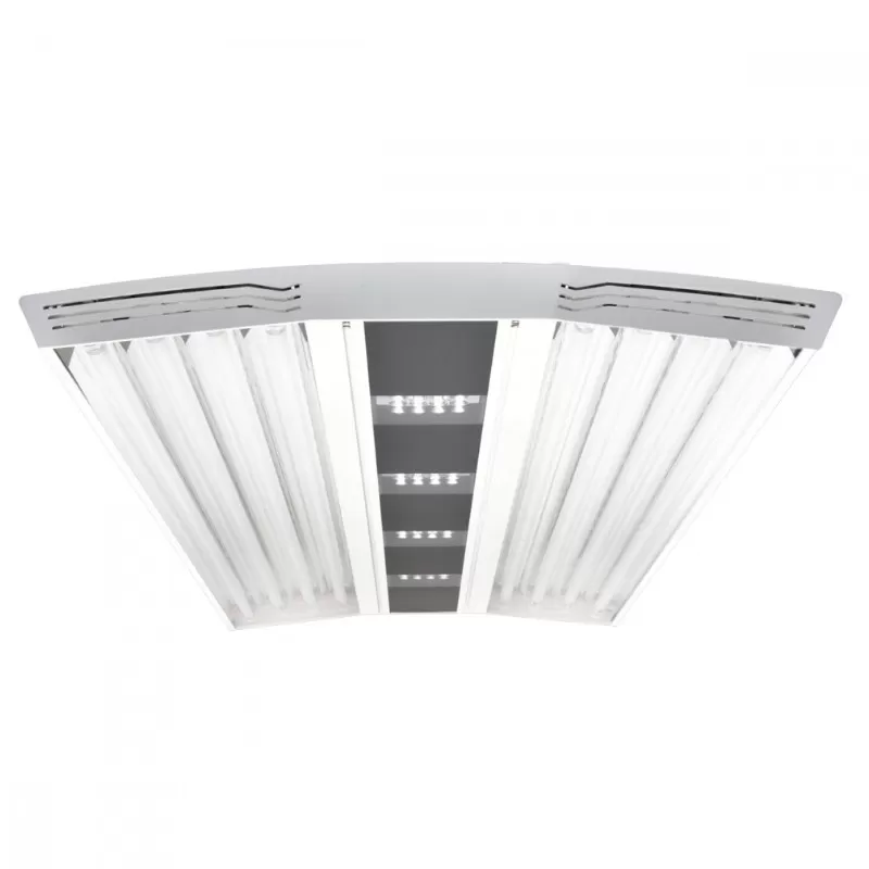 Giesemann Aurora V8 1200mm Irridium bestellen? l Coralandfishstore.nl