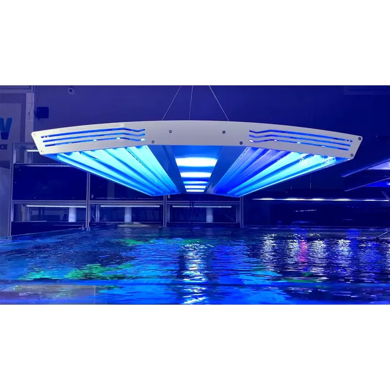 Giesemann Aurora V8 1200mm Irridium bestellen ? l Coralandfishstore.nl