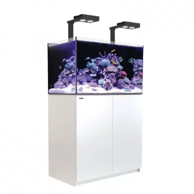 Red Sea REEFER MAX 300 G2+ White