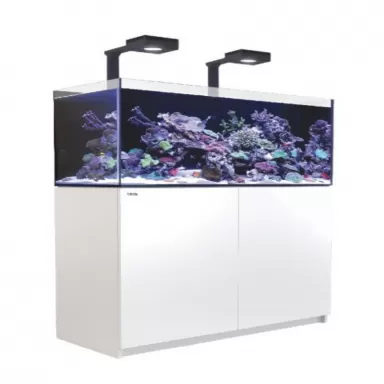 Red Sea REEFER MAX 625 G2+ Komplettsystem | Corallandfishstore