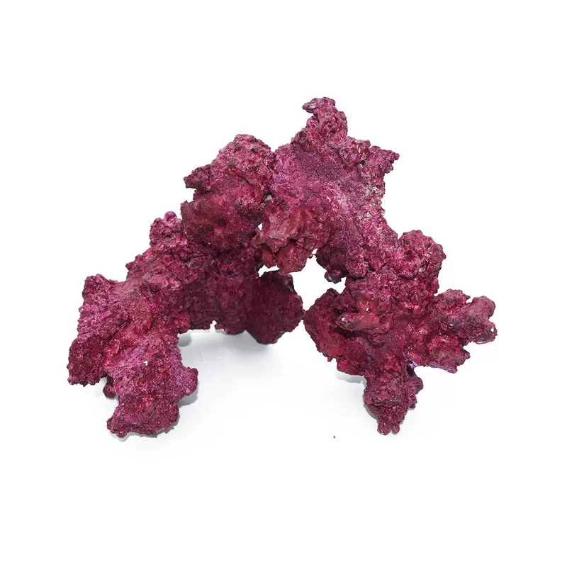 Real Reef Arches kopen | Coralandfishstore.nl