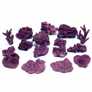 Kaufen Sie echte Riffbögen | Coralandfishstore.nl