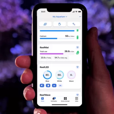 Kaufen Sie Red Sea ReefMat Ersatzrolle 250 | Coralandfishstore.nl