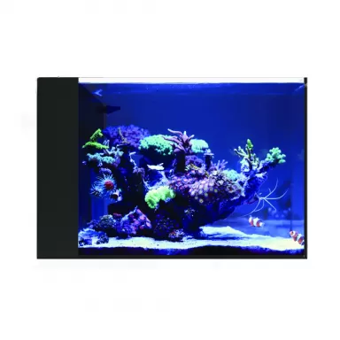 Waterbox Peninsula Mini 25 bestellen? l Coralandfishstore.nl