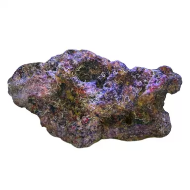 DRR Cultured Mixed Base Live Rock wet - per kilo