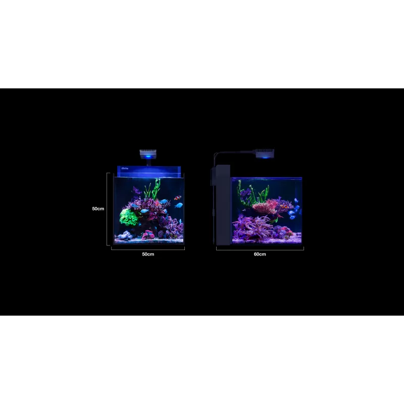 Möchten Sie Red Sea MAX NANO G2 XL ohne Möbel kaufen? | Corallandfishstore