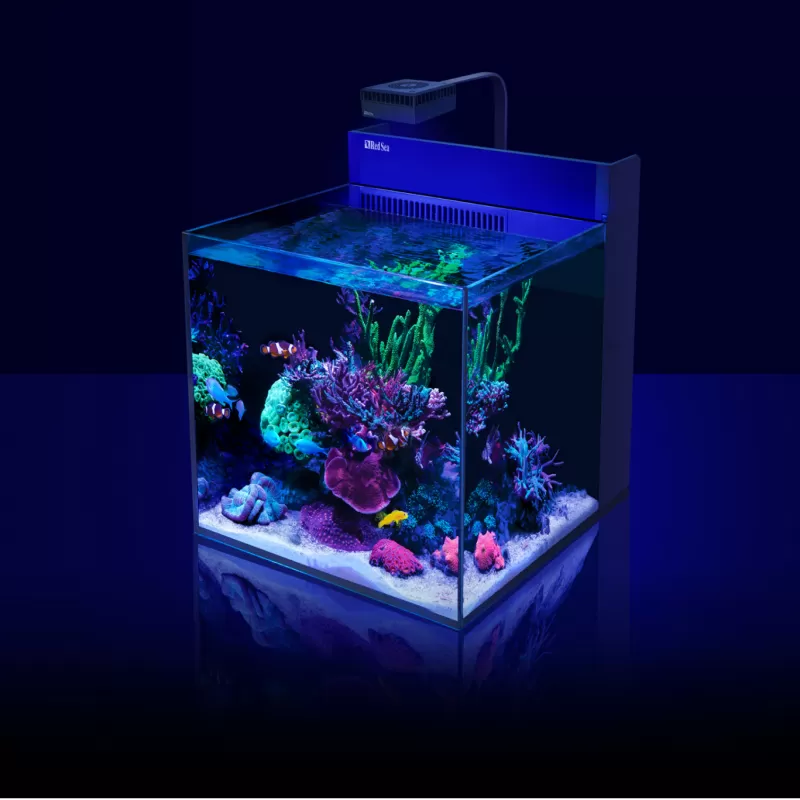 Red Sea MAX NANO G2 XL excl. meubel kopen? | Coralandfishstore