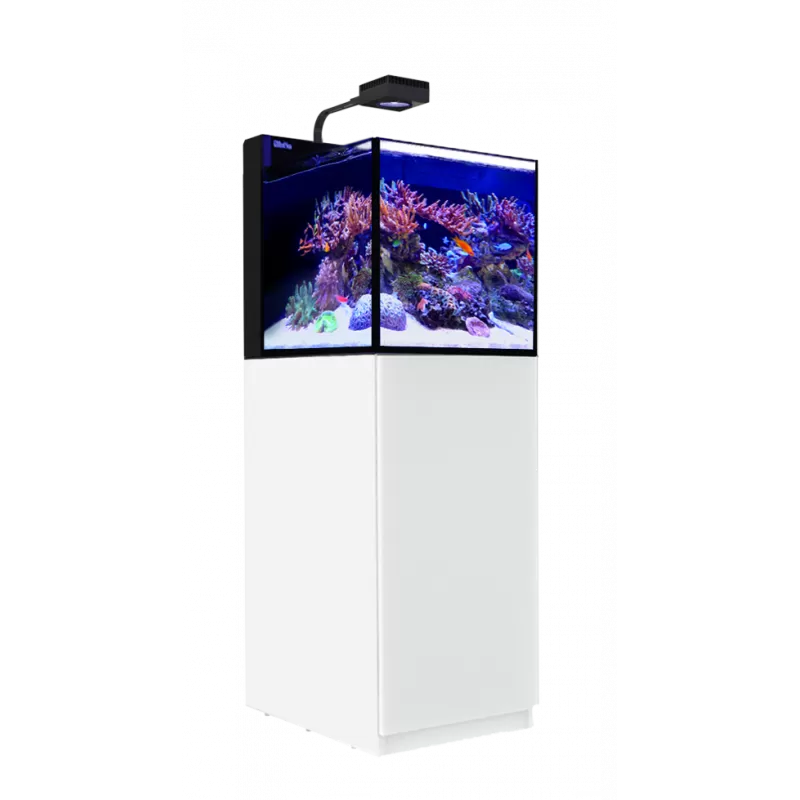 Red Sea MAX NANO G2 Peninsula kopen? | Coralandfishstore
