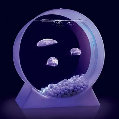 Desktop Jellyfish Tank - kwallen Aquarium