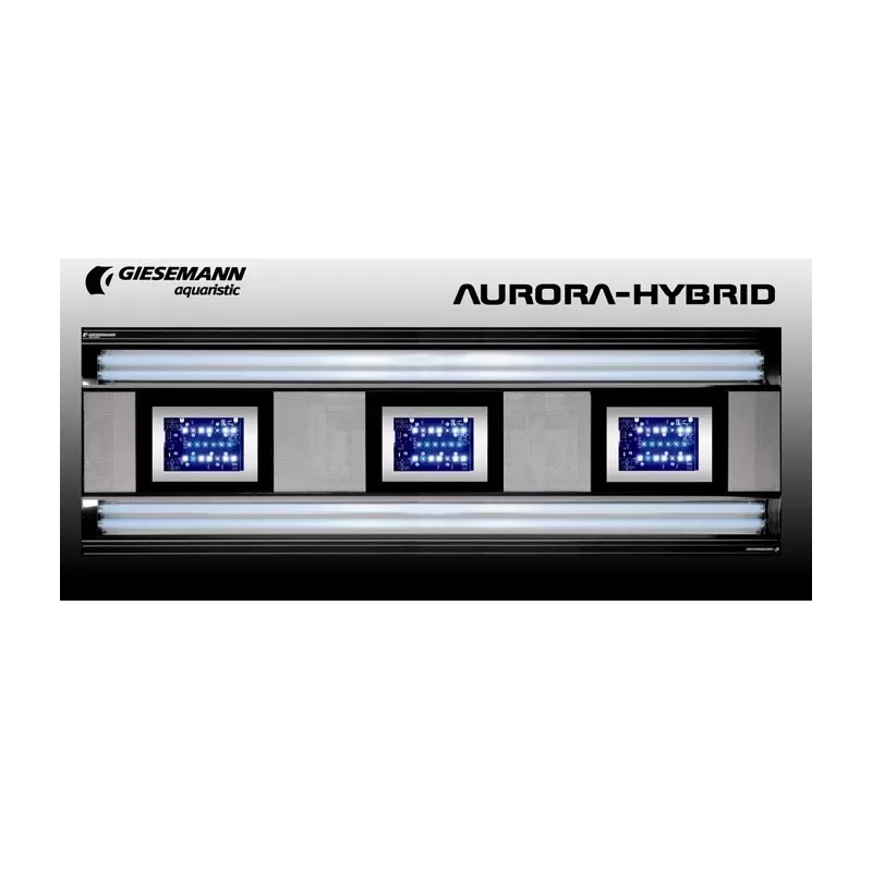 Giesemann Aurora  Hybrid 600