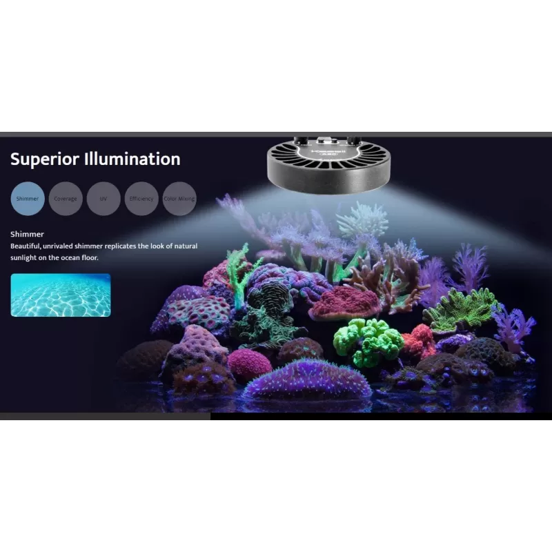 Möchten Sie Kessil LED A80 Thunfischblau kaufen? |Coralandfishstore.nl