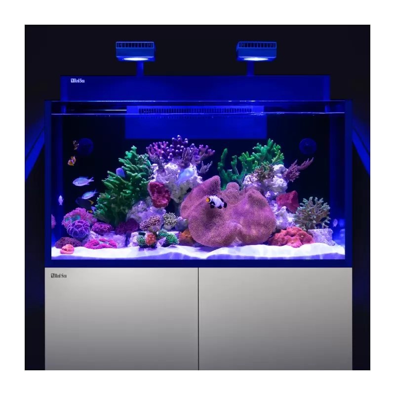Möchten Sie Red Sea MAX NANO G2 XXL kaufen? | Coralandfishstore.nl