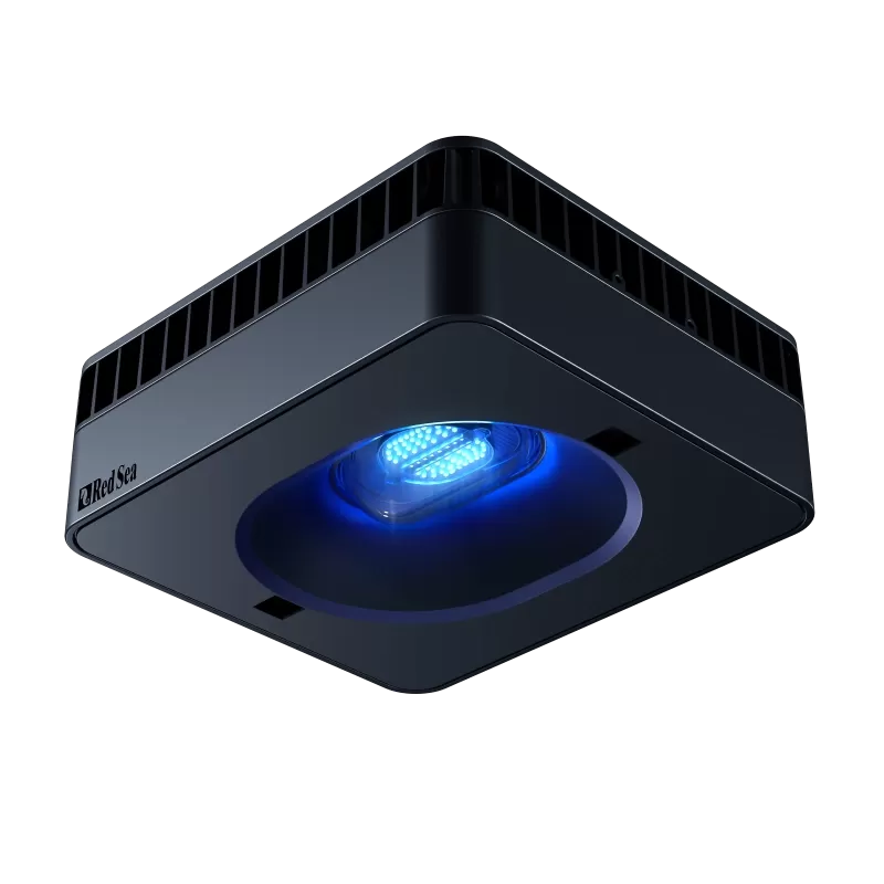 Red Sea Reefer 525 G2+ Deluxe White bestellen? l Coralandfishstore.nl