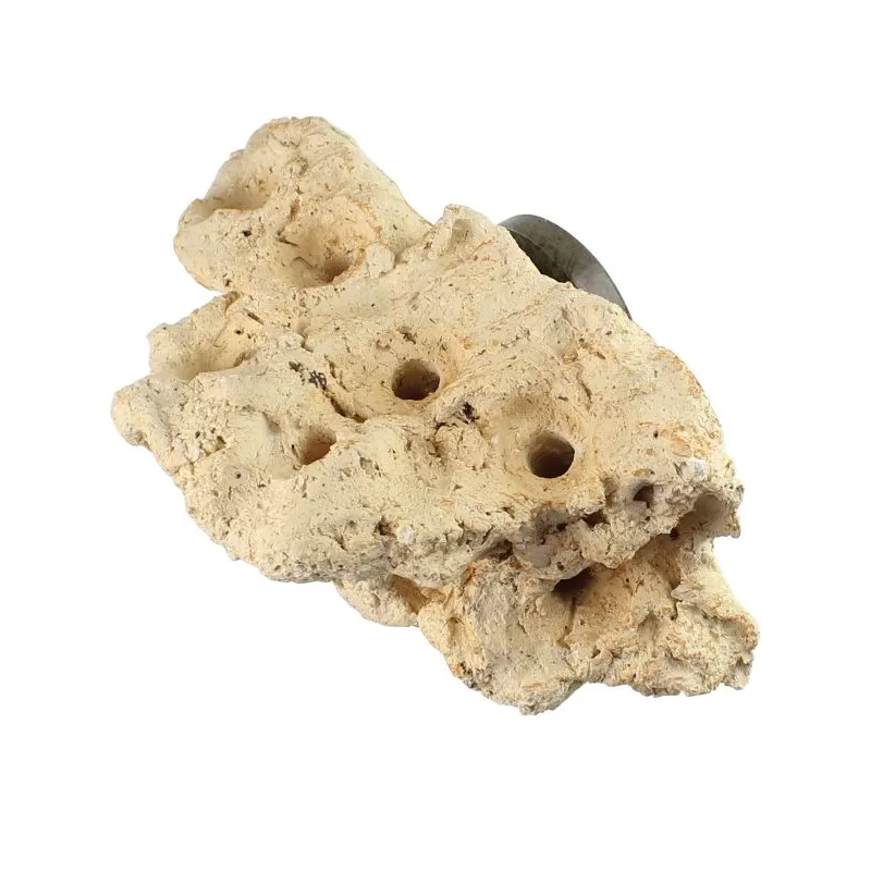 Tunze Korallenregal Nano