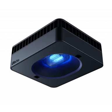 Reefer MAX Peninsula S-700 G2+ Komplettsystem | Corallandfishstore