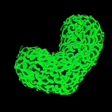 WYSIWYG 644 Euphyllia ancora ultra green M-size