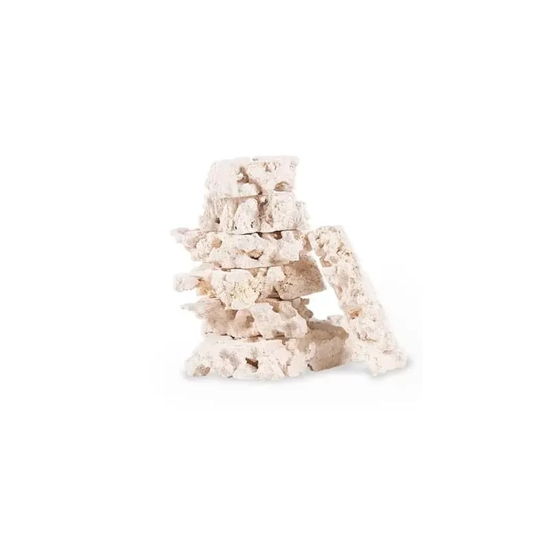 Möchten Sie 2LF Stax 40lb kaufen? | Coralandfishstore.nl