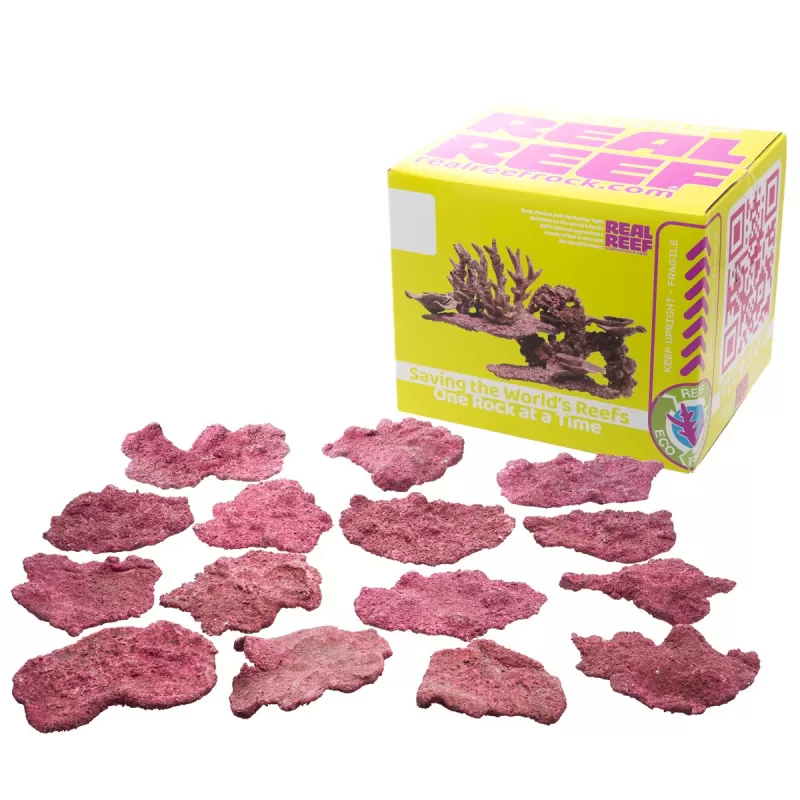Real Reef Mini Shelf Rock - 15pcs kopen? | Coralandfishstore.nl