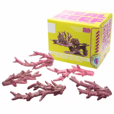Möchten Sie Real Reef Fancy Branch Rock kaufen? Coralandfishstore.nl