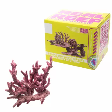 Real Reef Fancy Branch Rock kopen? | Coralandfishstore.nl