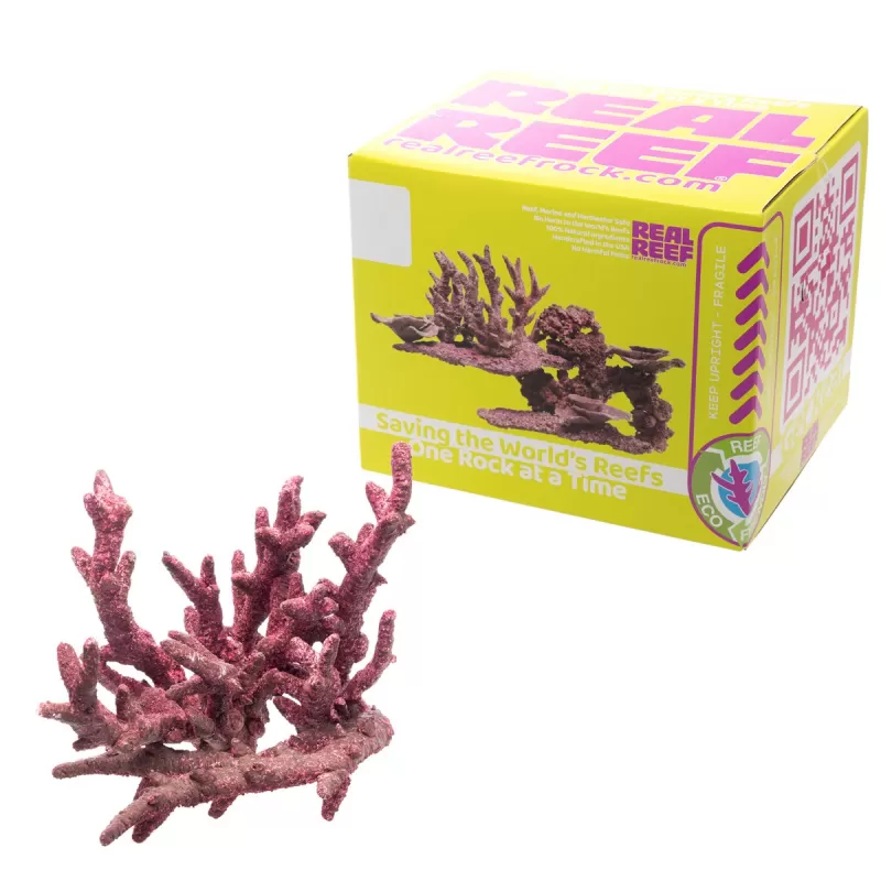 Möchten Sie Real Reef Fancy Branch Rock kaufen? | Coralandfishstore.nl