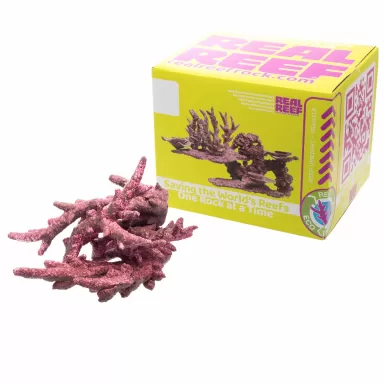 Real Reef Fancy Branch Rock kopen? | Coralandfishstore.nl