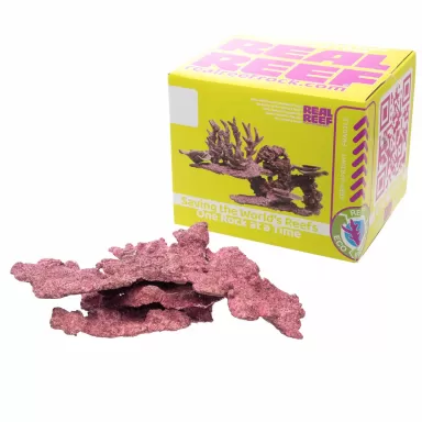 Möchten Sie echtes Riff-Schelfgestein kaufen? | Coralandfishstore.nl