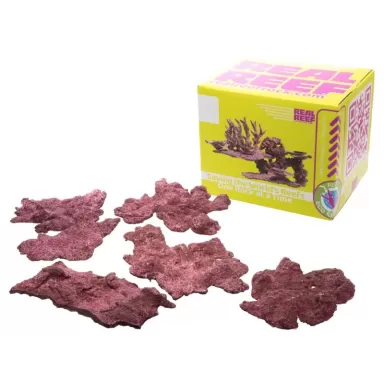 Möchten Sie echtes Riff-Schelfgestein kaufen? | Coralandfishstore.nl