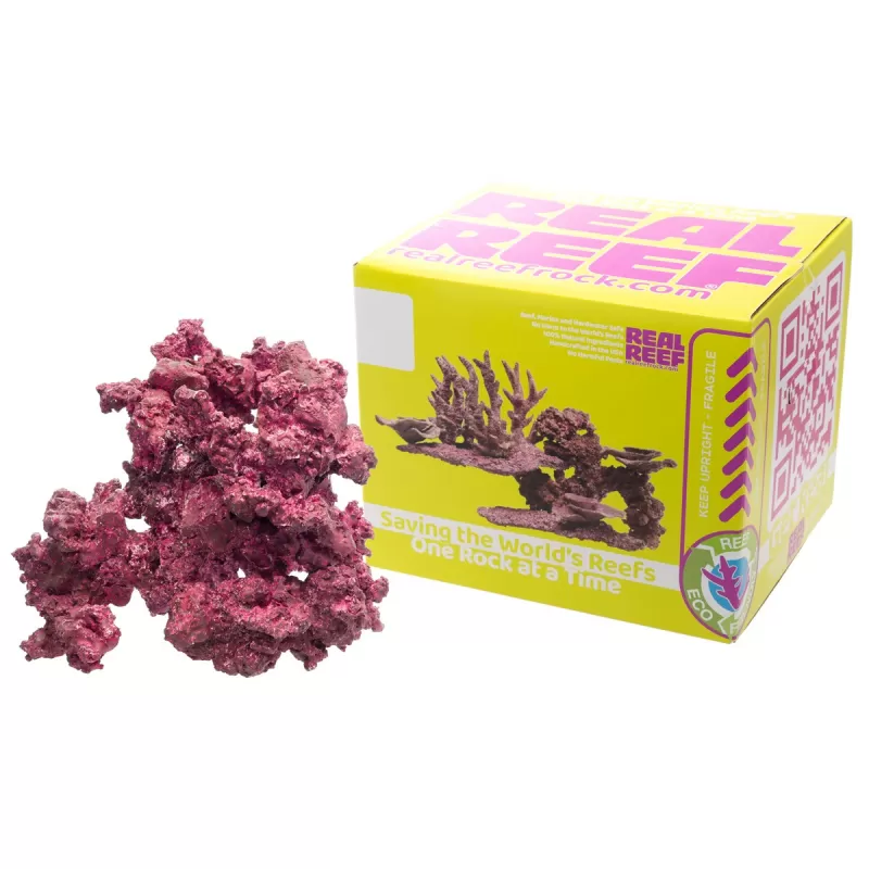 Real Reef Arches - Nano 6 stuks kopen ? Coralandfishstore.nl