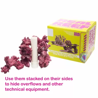 Real Reef Arches - Nano 6 stuks kopen ? Coralandfishstore.nl