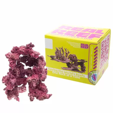 Real Reef Arches - Nano 6 Stück kaufen? Coralandfishstore.nl