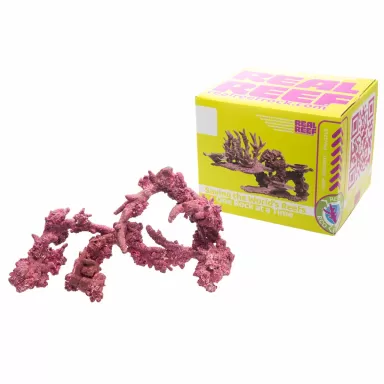 Real Reef Fancy Arches – 4 Stück kaufen? | Coralandfishstore.nl