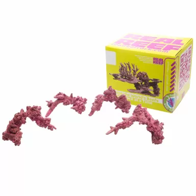 Real Reef Fancy Arches – 4 Stück kaufen? | Coralandfishstore.nl