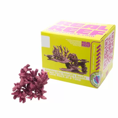 Möchten Sie Real Reef Mini Branched Rock kaufen? | Coralandfishstore.nl