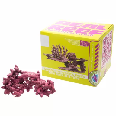 Möchten Sie Real Reef Mini Branched Rock kaufen? | Coralandfishstore.nl