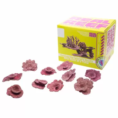 Real Reef Mini Plate Corals - 10 stuks