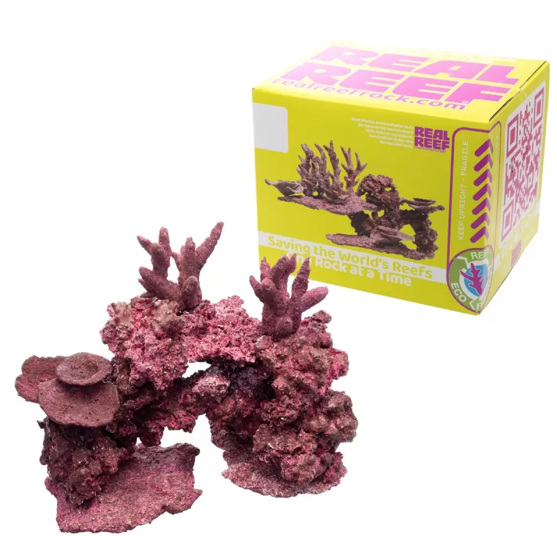 Real Reef Mini Mix - 9-10 stuks kopen? | Coralandfishstore.nl