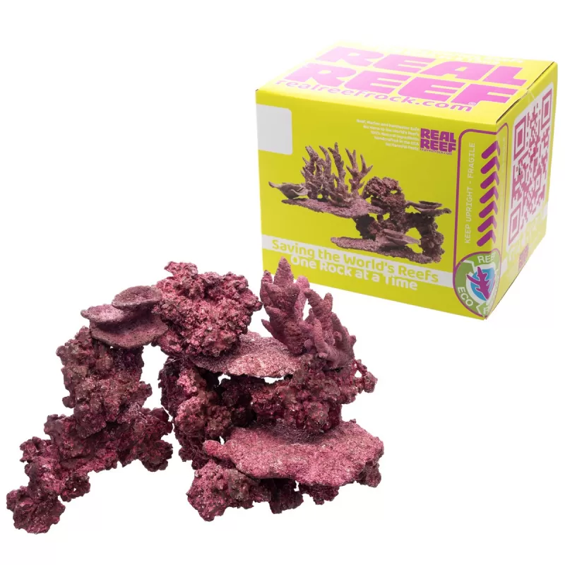 Real Reef Mini Mix - 9-10 Stück kaufen? | Coralandfishstore.nl