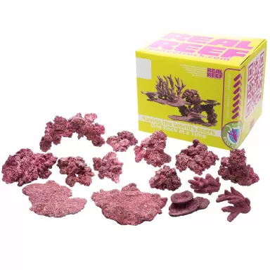 Real Reef Mini Mix - 9-10 stuks