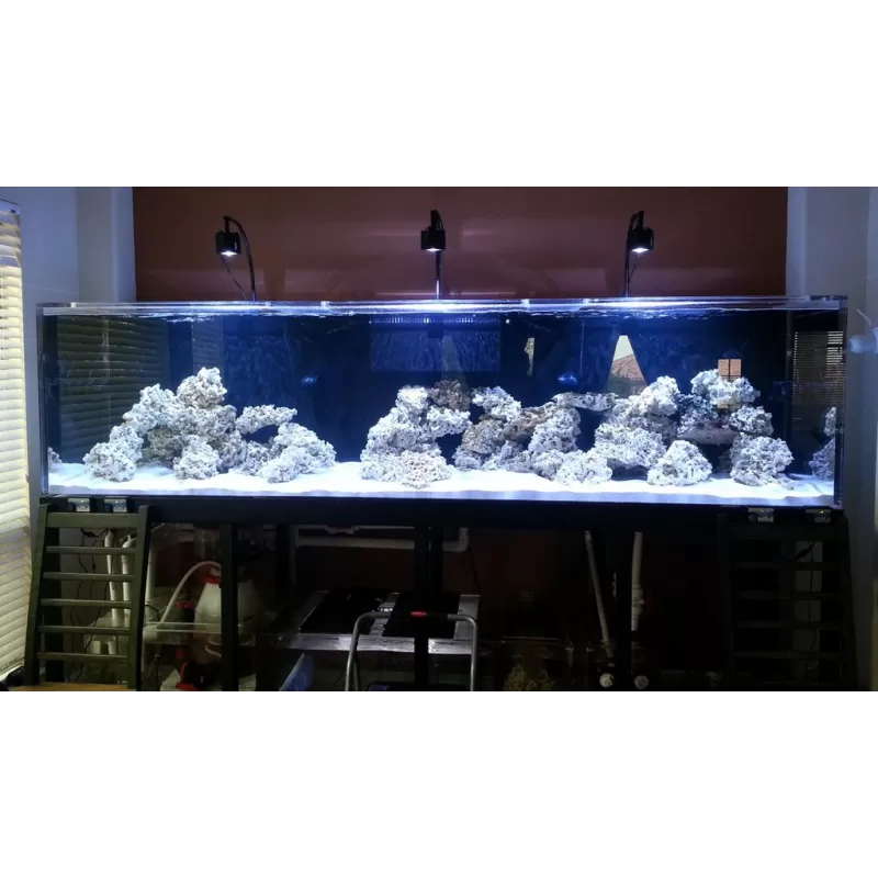 Kessil A360 zeewater